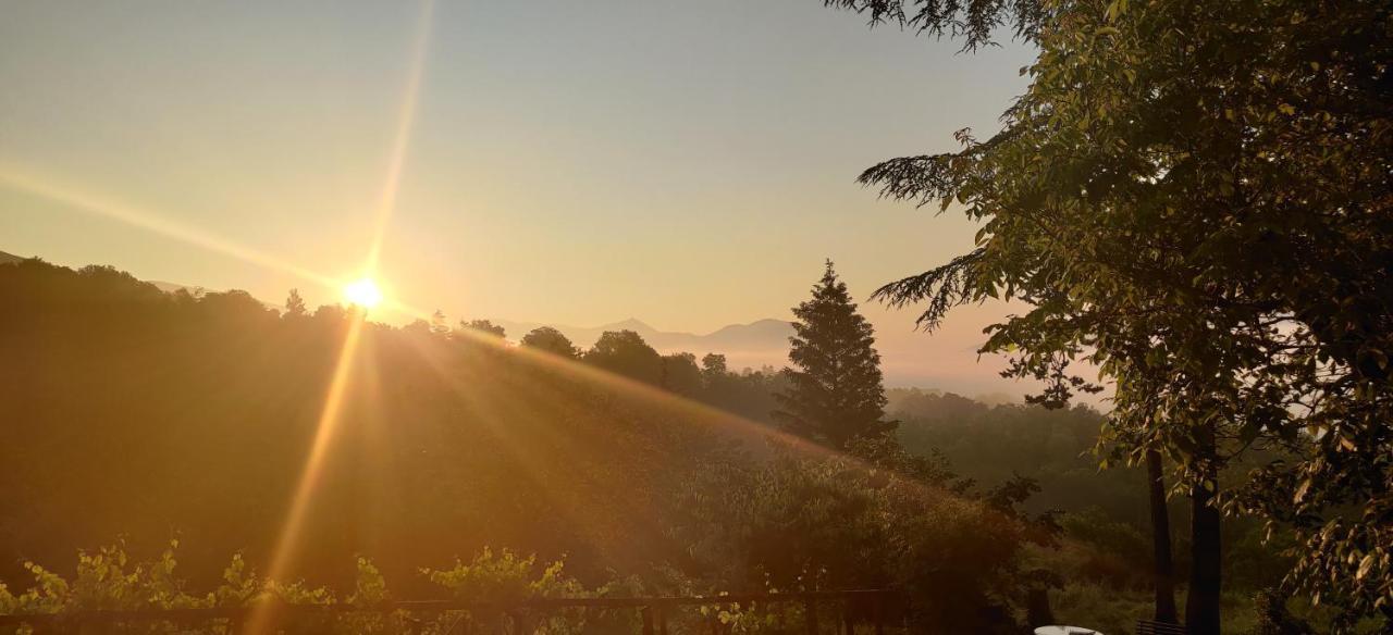 "Il Casaletto" Agriturismo Moderno, Vista Panoramica E Cibo Spettacolare- Scurcola Marsicana Exterior foto