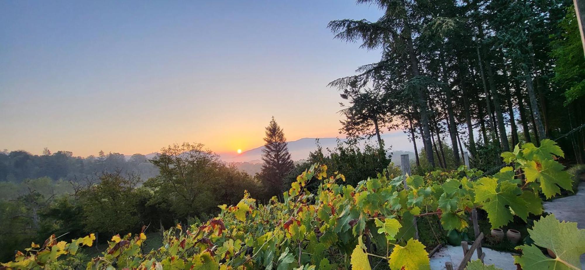"Il Casaletto" Agriturismo Moderno, Vista Panoramica E Cibo Spettacolare- Scurcola Marsicana Exterior foto