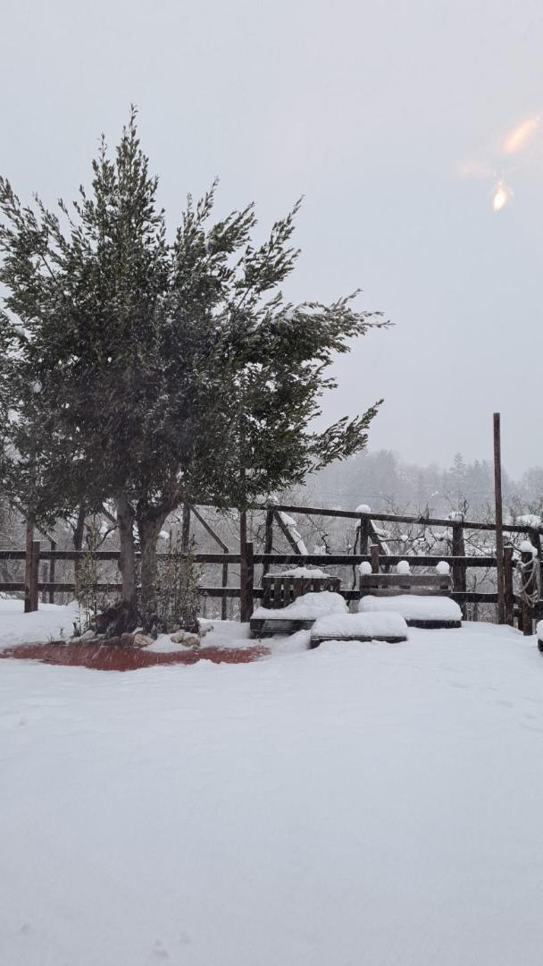 Villa "Il Casaletto" Agriturismo Moderno, Vista Panoramica E Cibo Spettacolare- Scurcola Marsicana Exterior foto